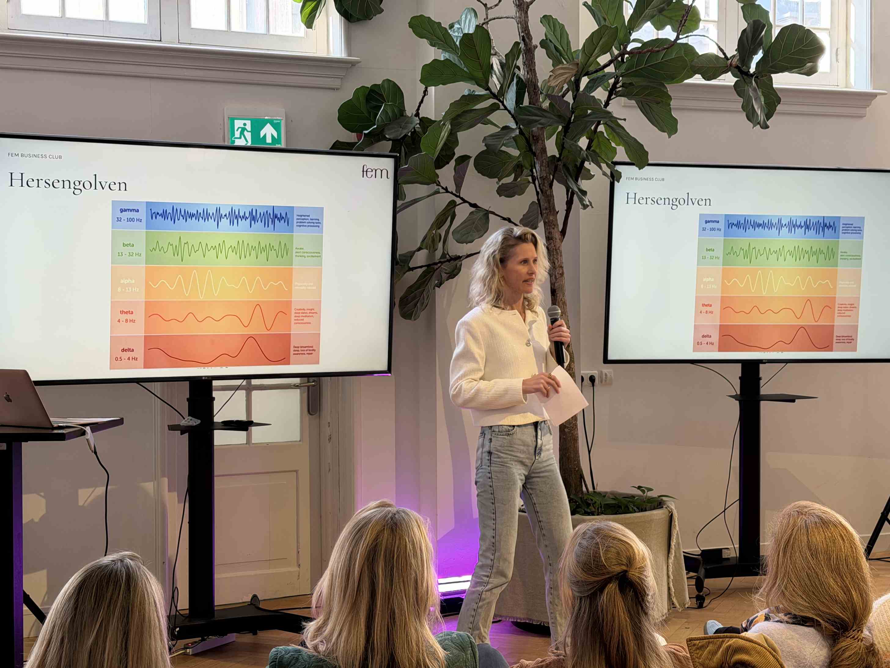 FEM expert presenting on brainwaves and energy