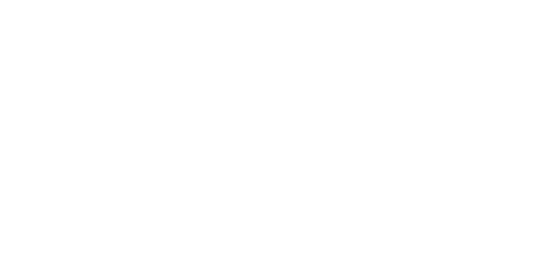 FEM Business Club